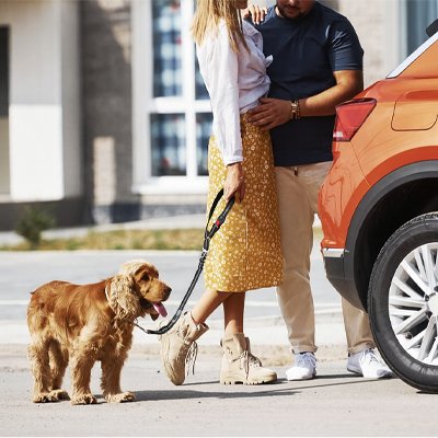 Ceinture de sécurité pour chien | TravelSafe