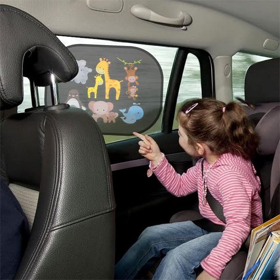 Pare soleil voiture | UltraShield UV