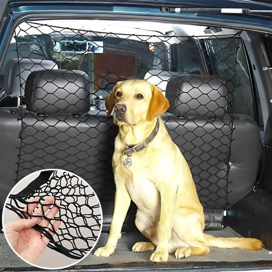 Filet pour chien voiture | Securitravel