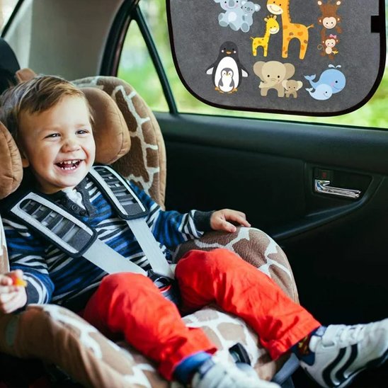 Pare soleil voiture | UltraShield UV