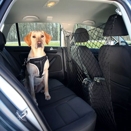 Filet pour chien voiture | Securitravel