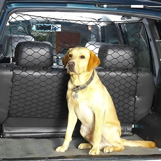 Filet pour chien voiture | Securitravel