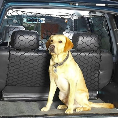 Filet pour chien voiture | Securitravel