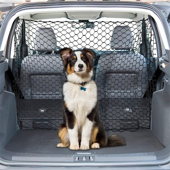 Filet pour chien voiture | Securitravel