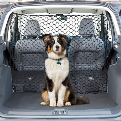 Filet pour chien voiture | Securitravel